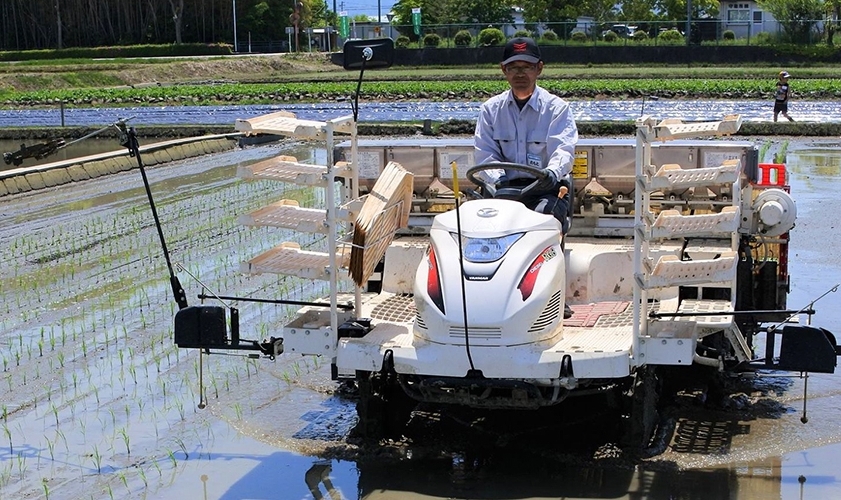 Робот-трактор для автоматизированной посадки риса! Японский робот-трактор для дистанционной посадки риса