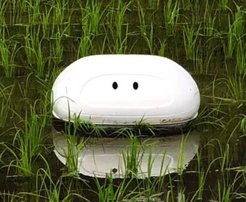 Японские разработчики выпустили робота, уничтожающего сорняковую траву на рисовых полях Японский инженер создал роботизированную утку Aigamo