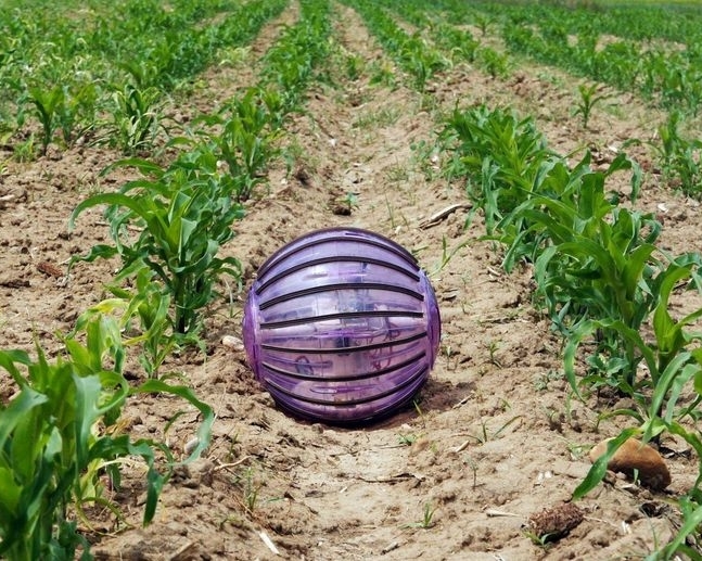 2025 год - пик использования роботов в аграрной сфере Количество агророботов значительно вырастет к 2025 году